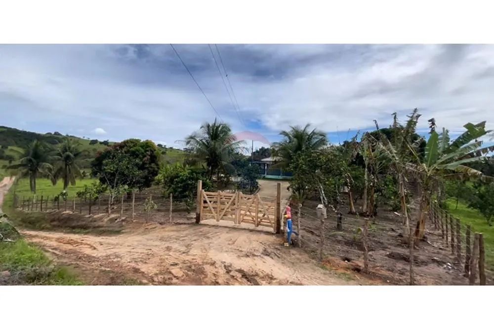 FAZENDINHA EM UNIÃO DOS PALMARES - Foto 3
