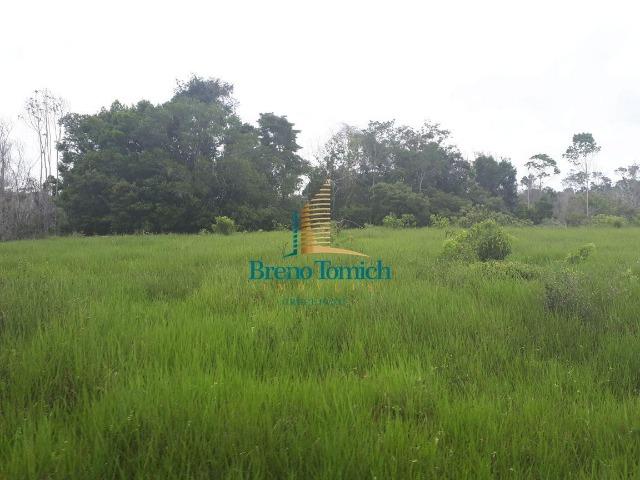 Fazenda á 15KM da balsa de Santo André - Foto 11