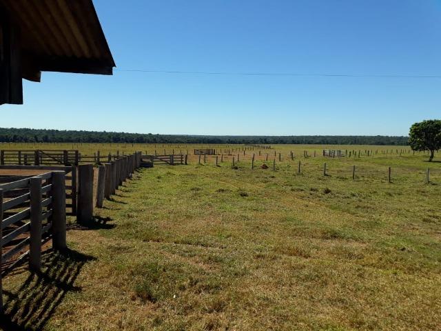 Fazenda no município de Itaúba -MT 1.457 hectares com 457 aberto - Foto 9