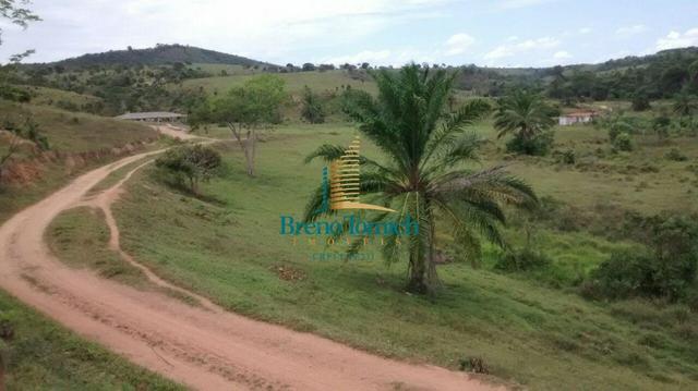 Fazenda 90KM de Eunápolis - Foto 5