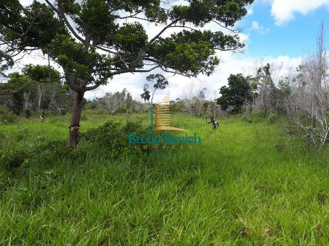 Fazenda á 15KM da balsa de Santo André - Foto 7