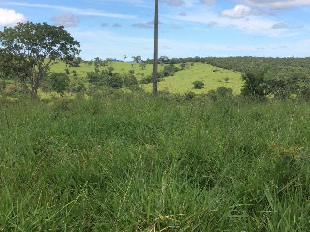 Fazenda 70 alqueires em Anicuns muito boa!!! - Foto 10