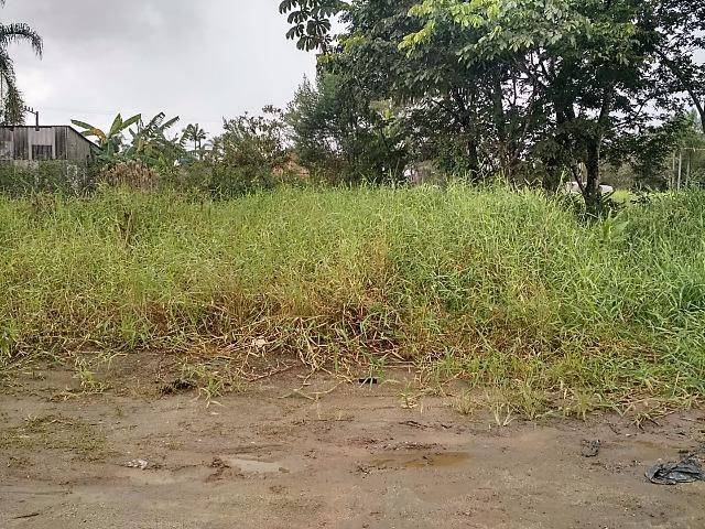 Terreno para investimento com 288m²!!! Morretes Itapema - Foto 6
