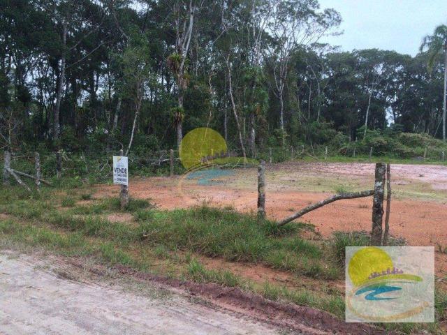 Terreno à venda, 300 m² Limpo e aterrado Brandalize - Itapoá/SC TE0443 - Foto 3