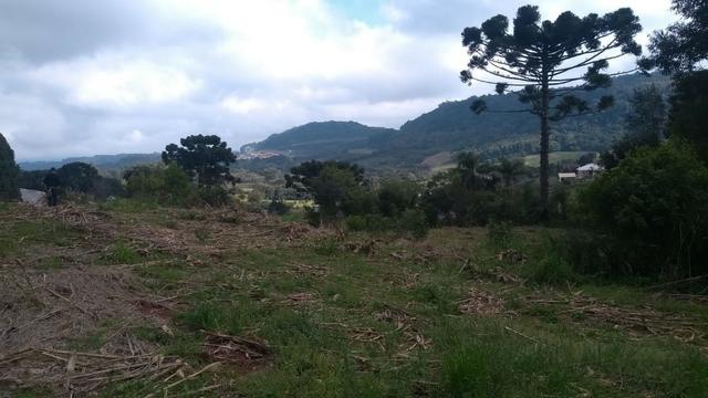 Sítio em Nova Petrópolis com 20,5 hectares - Foto 6