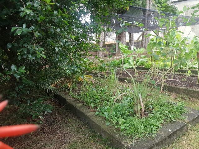 Sitio 20500m² Canguerinha São Roque - Foto 16