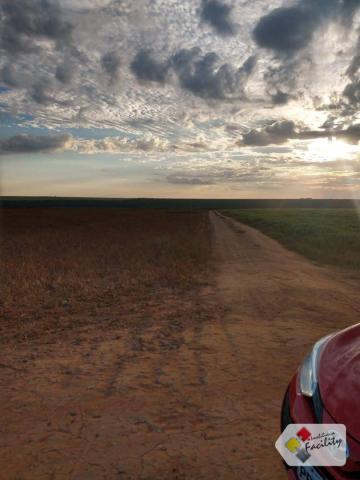 Fazenda de grãos em pontes e lacerda - mato grosso - Foto 4