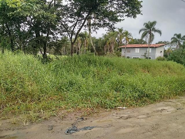 Terreno para investimento com 288m²!!! Morretes Itapema - Foto 7