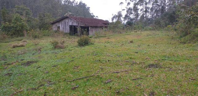? vendo sítio 26 ha salete / sc ? - Foto 3