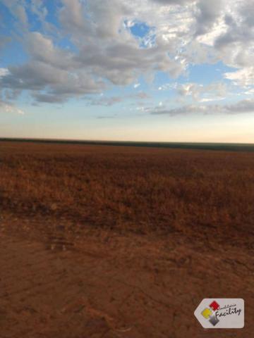 Fazenda de grãos em pontes e lacerda - mato grosso - Foto 8