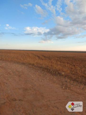 Fazenda de grãos em pontes e lacerda - mato grosso - Foto 11