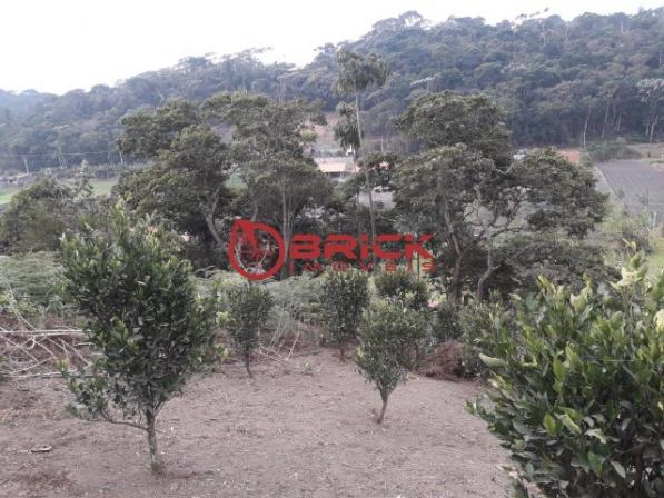 Terreno com 1200 m² no parque boa união. - Foto 6