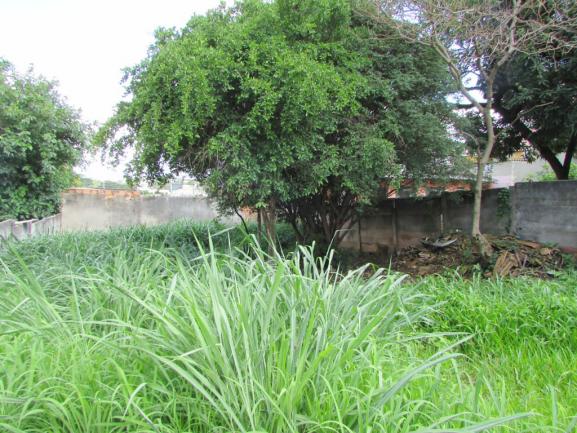 Terreno para alugar em Bom pastor, Divinopolis cod:24438 - Foto 2