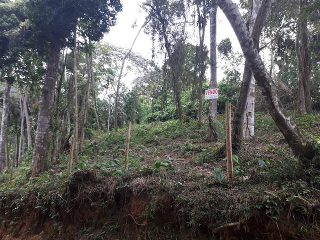 Terreno na Mosela! Construa sua casa veja a descrição - Foto 2