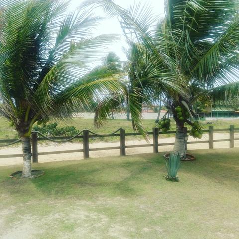 Sobrado Praia Sirinhaém - PE Prox. Porto de Galinhas Ac Permuta Cód. PGL-1 - Foto 20