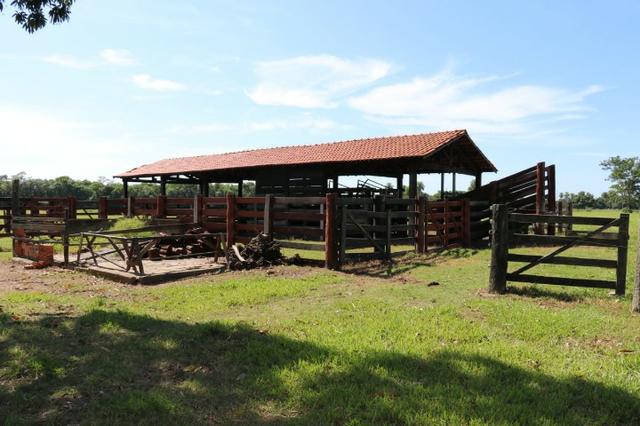 Chácara na região de Santo Antônio de Cuiabá com 32 HA Uma propriedade dos sonhos a 25 - Foto 13