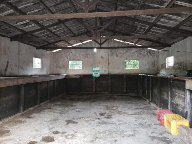 Fazenda de 290 Hectares com toda infraestrutura, rica em água mineral.+ Jazia de Mármore - Foto 14