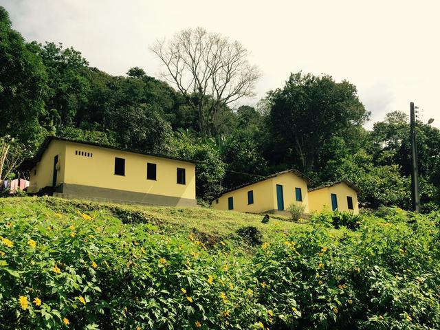 Fazenda de Cacau em Barro Preto BA - Foto 3