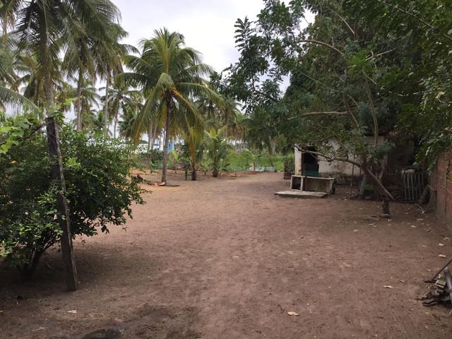 Sol 22 - Excelente Granja sendo 6385m² no Centro - São José de Mipibu - RN - Foto 5