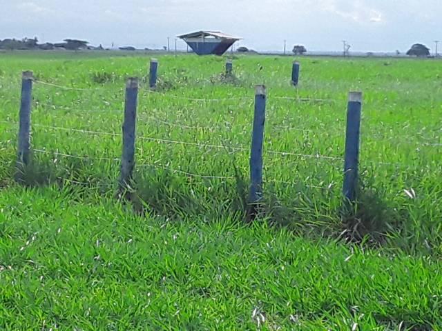 Fazenda 180 alqueires Linhares - Foto 20