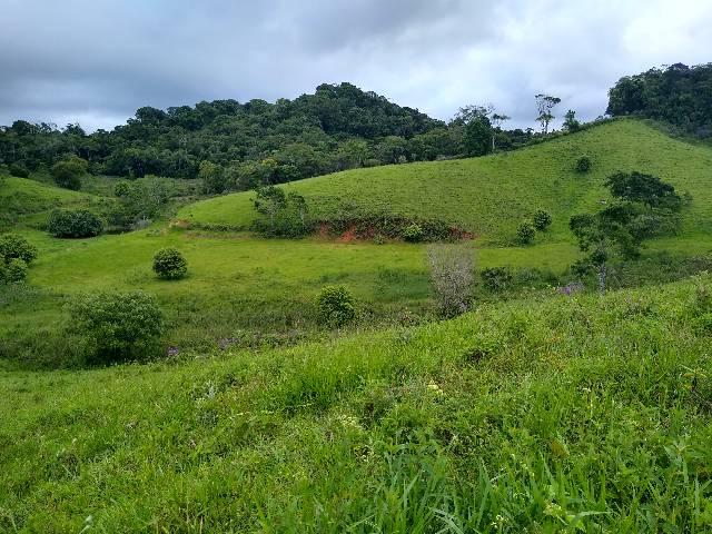 Fazendinha 15 alqueires Cariacica