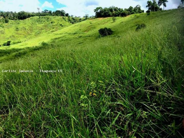 Fazenda para Venda, Itaguaçu / ES, bairro Distrito de Itaçu - Foto 6
