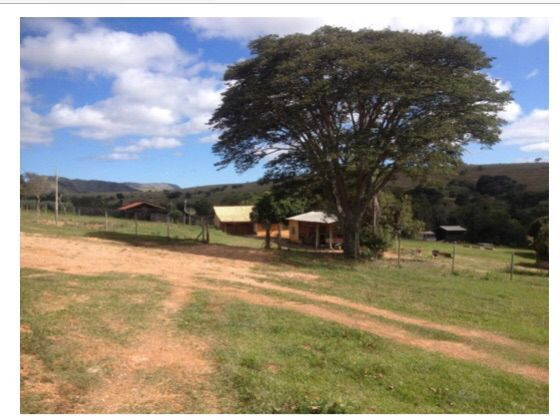 Fazenda 211 Hectares