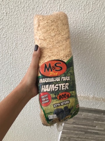 Terrário para Hamster com brinde