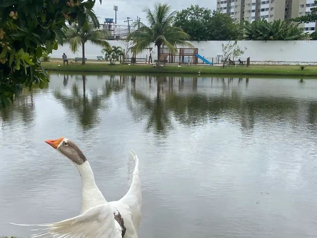 Alugo Apartamento Garden,Centro, Reserva da Lagoa,Centro - Lauro de Freitas - BA - Foto 6