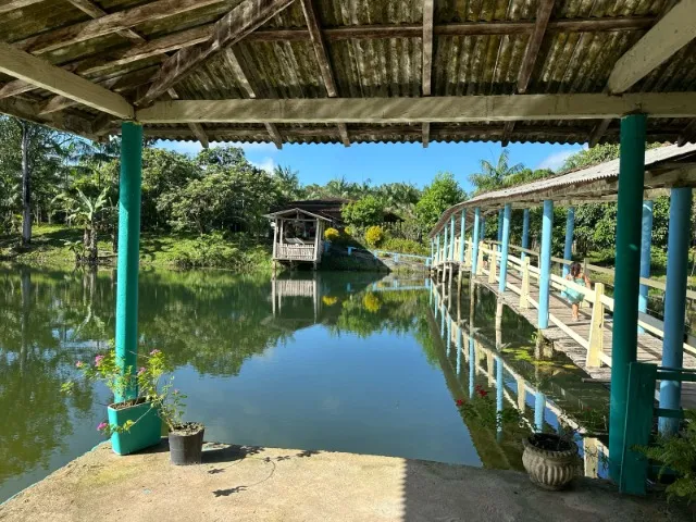 sitio no Taua 50x200 muito lindo R$200 mil reais
