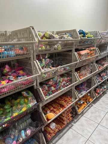 Vende-se IMPORTADORA de acessórios para pet shop e agropecuária  - Foto 2