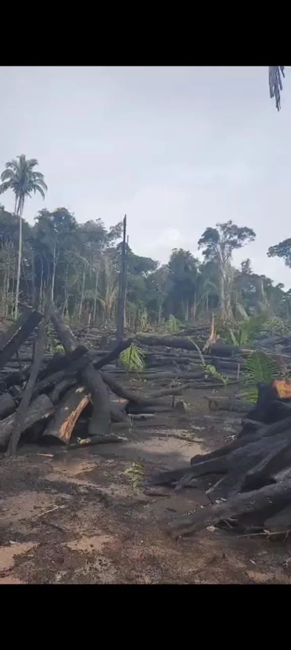 Chácara 50x200m no km17 sentido Humaitá - Foto 3