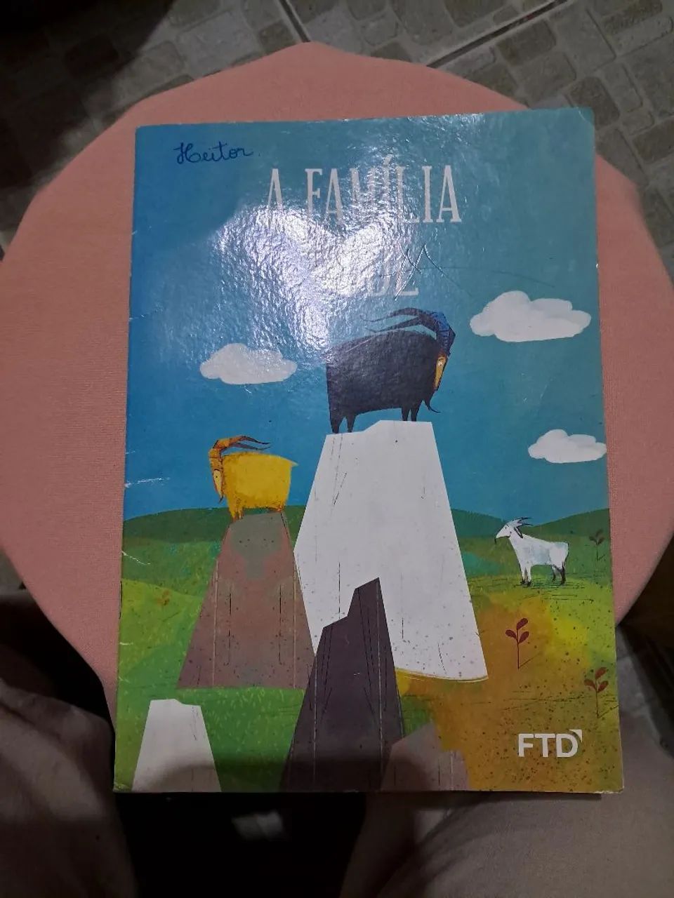 Livros infantis - A Família Bode e outros! - Foto 3