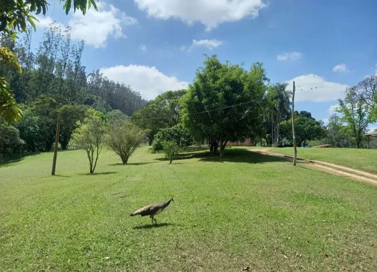 Invista no Mercado Imobiliário  Terrenos de 1000m²! - Foto 4
