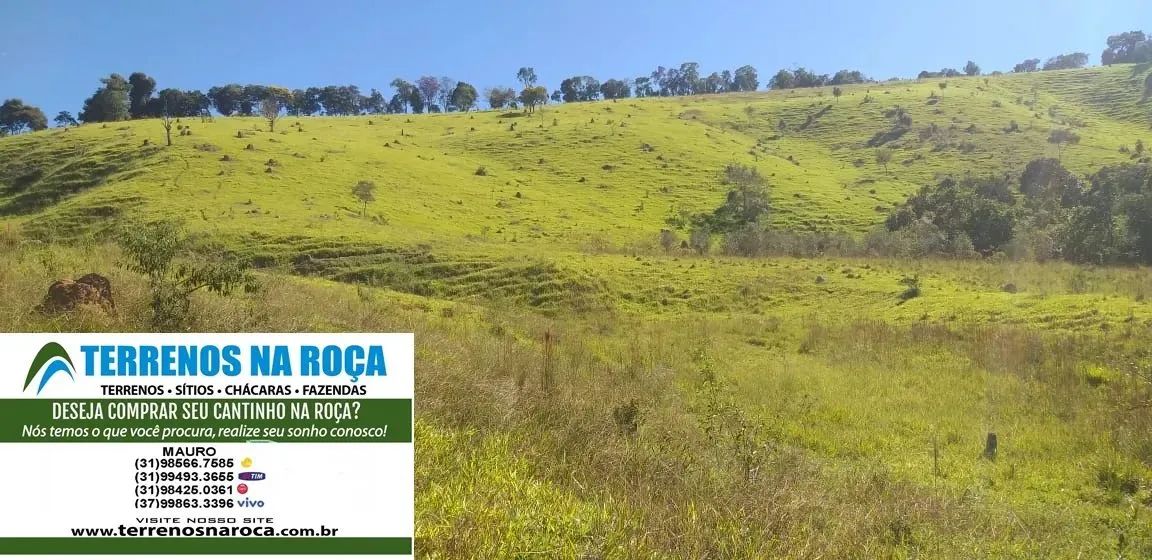 Terreno em Crucilândia / MG, 97 mil metros com mina e nascente todo formado - Foto 4