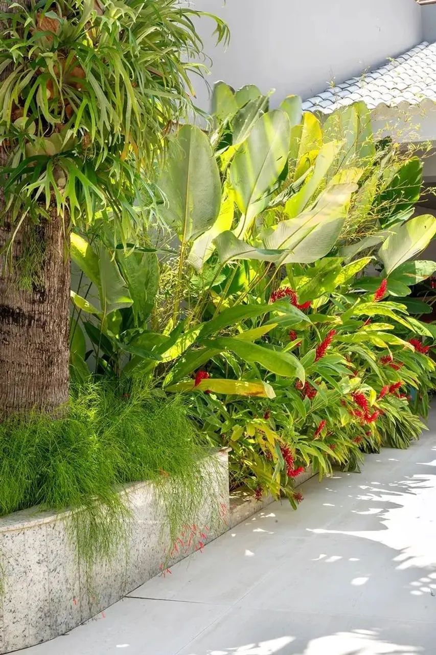 Jardineiro/Jardinagem/jardim - Foto 3