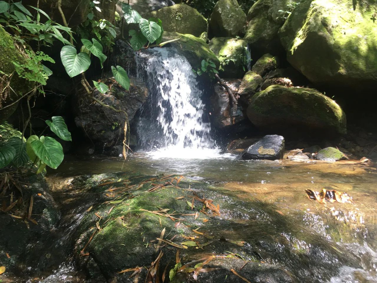 Fins de semana no chalé da cachoeira no pé da serra de Friburgo  - Foto 3
