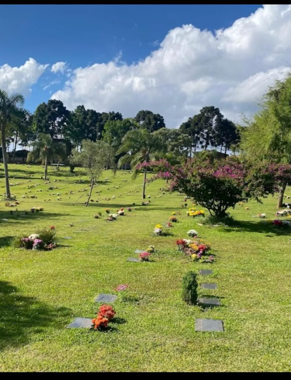 Terreno senhor do Bonfim