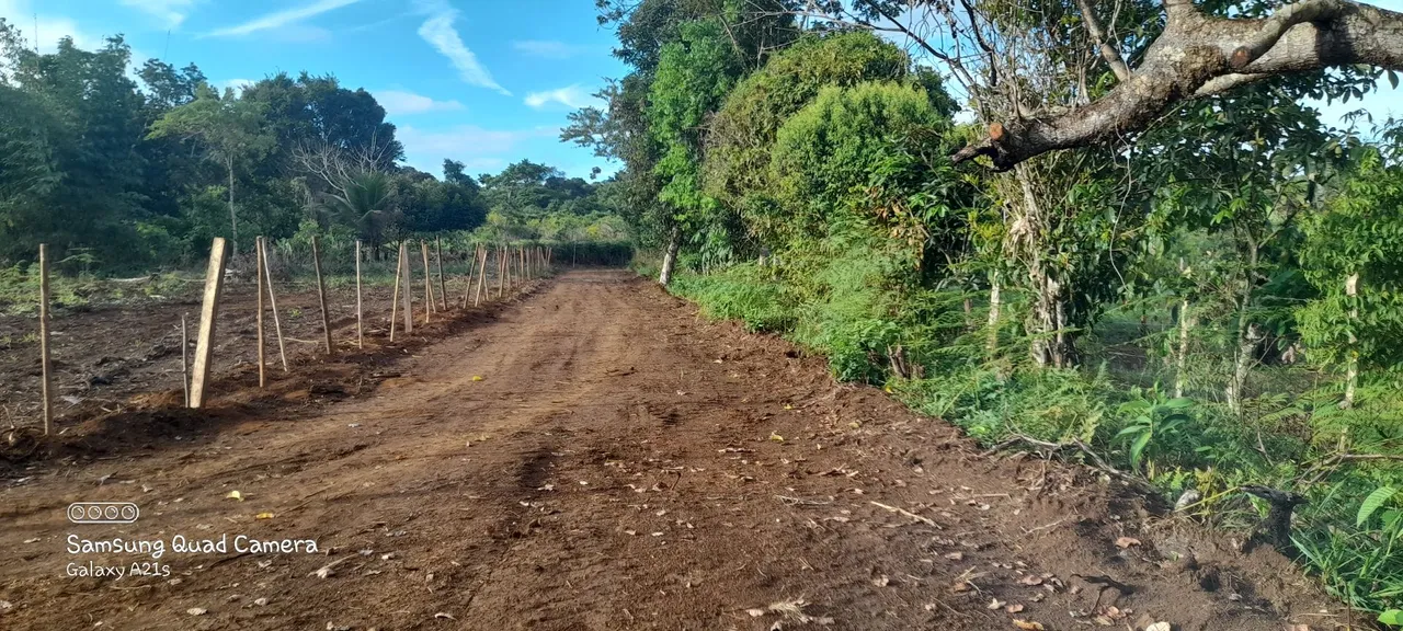Vende se 7 hectares