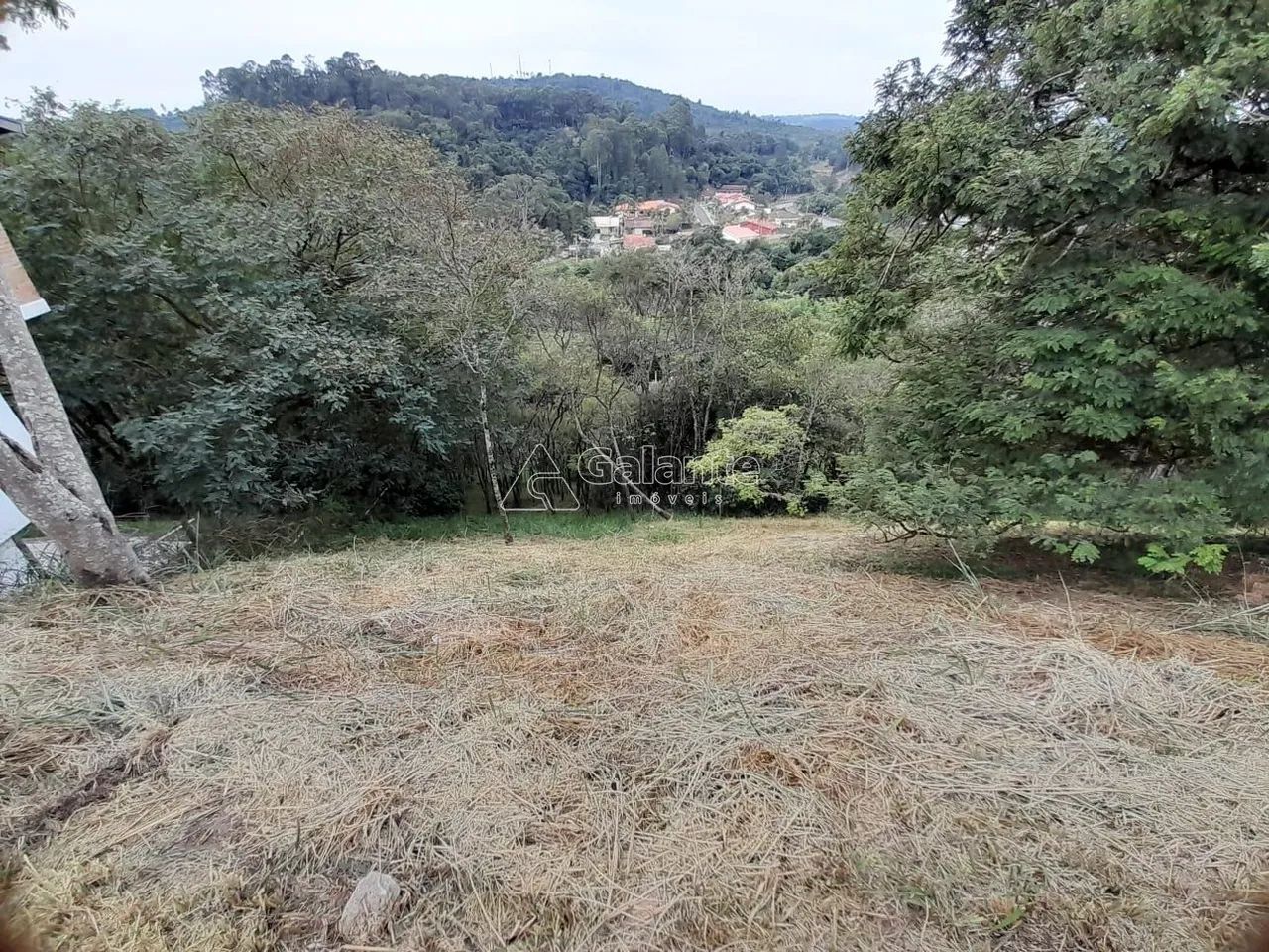 terreno - Colinas do Ermitage (Sousas) - Campinas - Foto 8