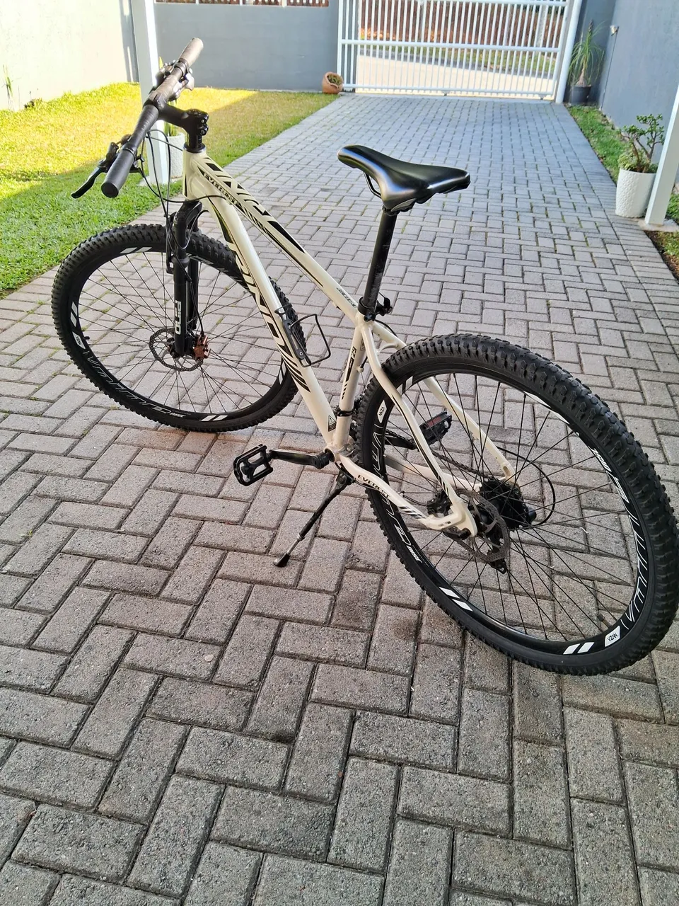 Bike Rino Everest