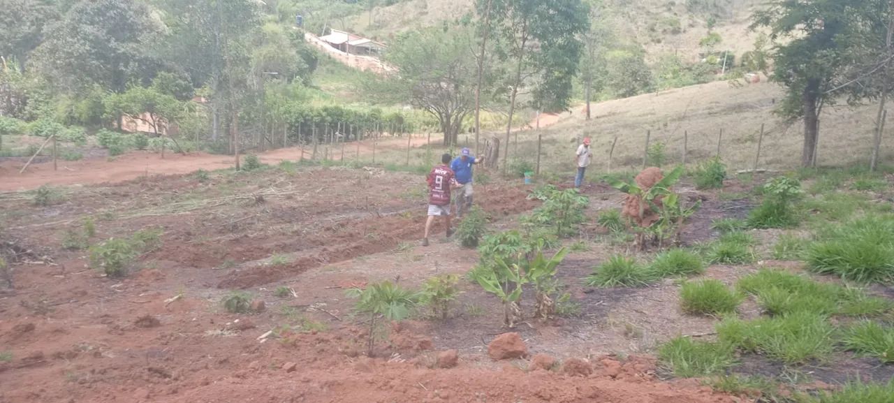 Vendo ou troco sítio no palmital, zona rural de juiz de fora