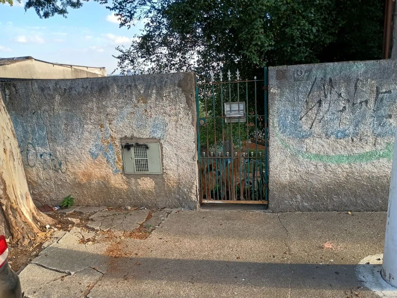 Foto - Osasco - Mutinga