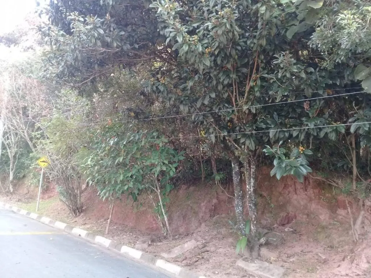 Terreno à venda, 1200 m² - Granja Viana II - Cotia/SP