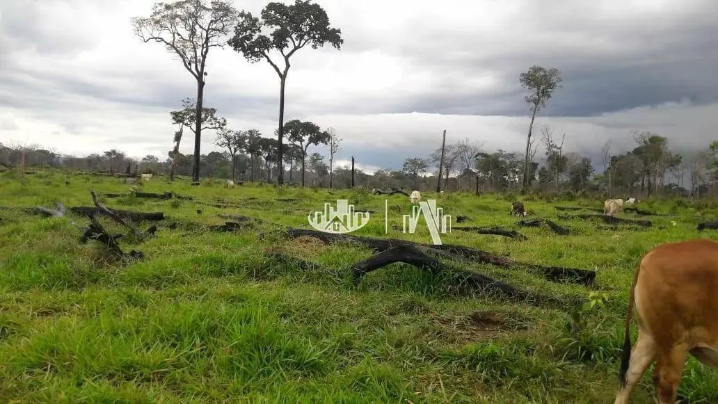 Fazenda à venda, 14520000 m² por R$ 18.200.000,00 - São Francisco - Óbidos/PA - Foto 12