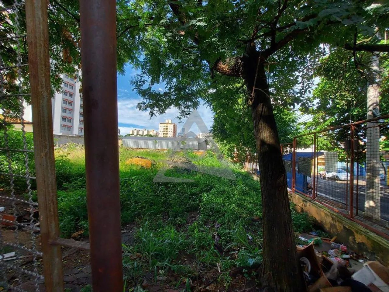 Terreno à venda em Campinas, Vila Itapura - Foto 4
