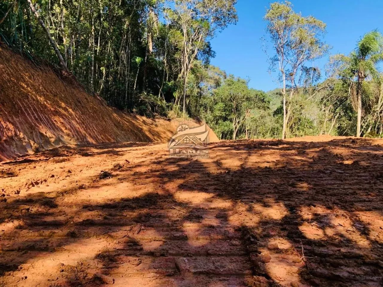 Terreno Rural para Venda em Angelina, ALTO GARCIA - Foto 5