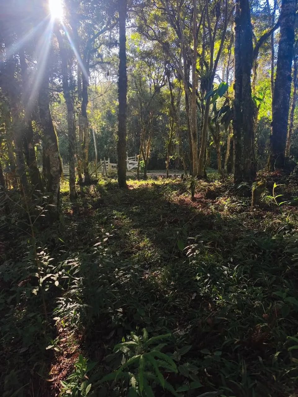 Vendo terreno para formar chácara  - Foto 4