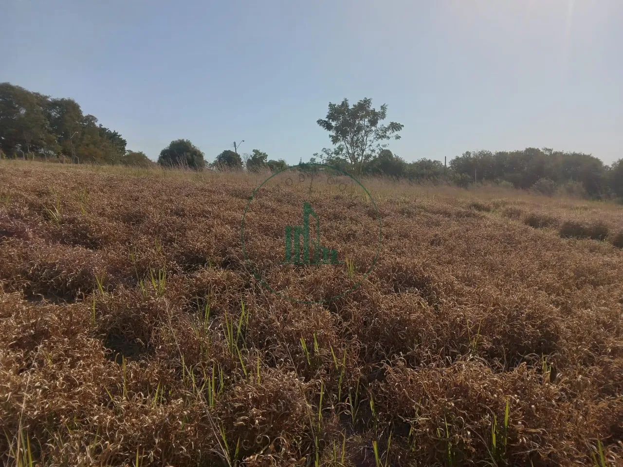 Lotes Chácaras Primavera - São Pedro - Foto 5