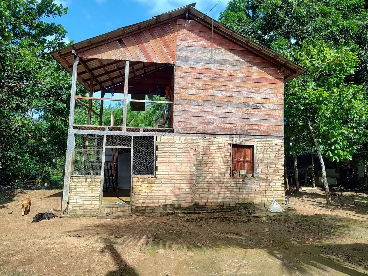 Vendo ou troco chácara na beira do rio mucajaí  - Foto 3